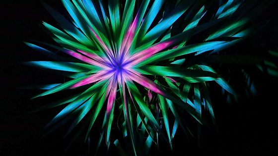 Longwood Gardens Announces Nightscape: A Light and Sound